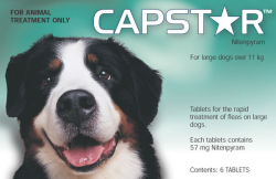Capstar Large Dog Flea Treatment 6 Tablets|