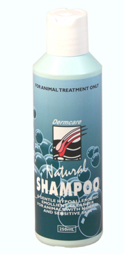 Dermcare Natural Shampoo 250mL|