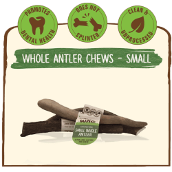 Deer Antler Treat for Dogs Small|