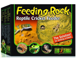 Exo Terra Feeding Rock Reptile Cricket Feeder|