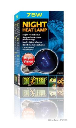 Exo Terra Night Heat Lamp 75W|
