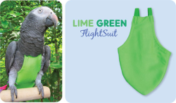 Flight Suit Bird Diaper - X-Wide Plus, Lime Green|