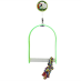 Green Parrot Toy ACRYLIC SWING MEDIUM|