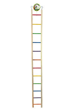 Green Parrot Bird Ladder 125cm|
