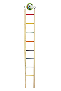 Green Parrot Bird Ladder 95cm|