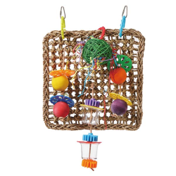 Green Parrot Bird Toy FORAGING WALL|