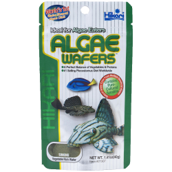 Hikari Tropical Algae Wafers 40g|