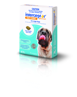 Interceptor Spectrum Chews for Dogs 22 to 45kg (Blue) 6 Pack|
