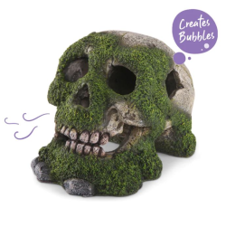 Kazoo Bubbling Skull with Moss Medium Ornament|