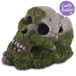 Kazoo Bubbling Skull with Moss Small Ornament|