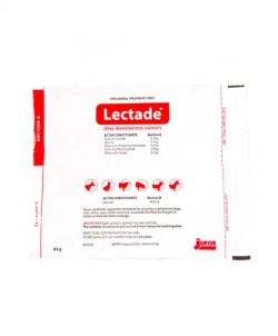 Lectade Duo Satchet Oral Rehydration Therapy 64g 1 Pack|