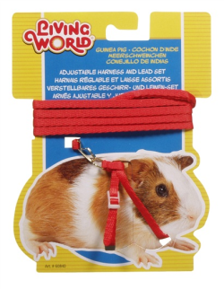 Living World Guinea Pig Harness & Lead Set Red|