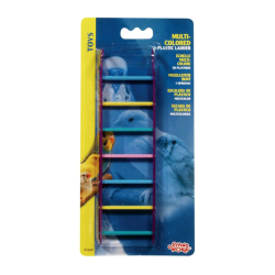 Living World Multicoloured Plastic Ladder|