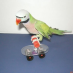 Mango Mini Scooter for Birds|