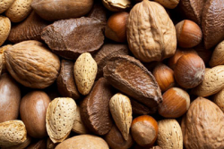 Premium Bird Treats Mixed Nuts In Shells 5kg|