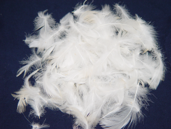 Sterilised Feathers Nesting Material 50g|