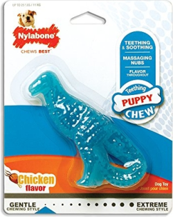 Nylabone Puppy Chew Dinosaur Chicken Flavour Regular|