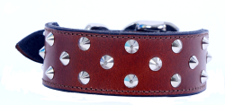 PetLife Leather Staffy Collar Morocco Large 52.5cm|