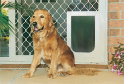 Petway Security Pet Door - Brown, Large|