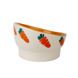 Allpet Pipsqueak Ceramic Ergonomic Feeder Bowl Carrot|