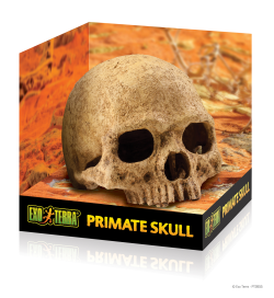 Exo Terra Primate Skull / Secure Hiding Place|