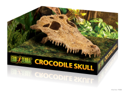 Exo Terra Crocodile Skull / Secure Hiding Place|
