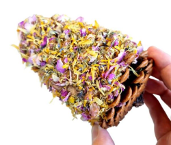 Raw For Birds Floral Pinecone Chews 2pk|