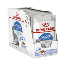 Royal Canin Indoor in JELLY Box 12 x 85g|