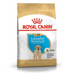 Royal Canin Labrador Puppy 12kg|