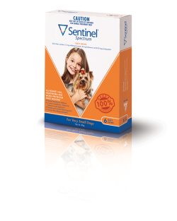 Sentinel Spectrum Chews for Dogs Up to 4kg (Brown) 6 Pack|
