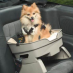 Travellin Dog Pet Seat|
