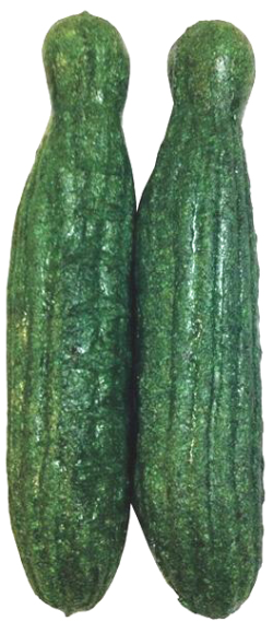 Veggie Patch Edible Cucumber Nibblers 2 Pack|