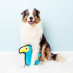 Zippy Paws Z-Stitch Grunterz Dodo Bird Dog Toy|