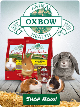 oxbow rabbit and guinea pig food
