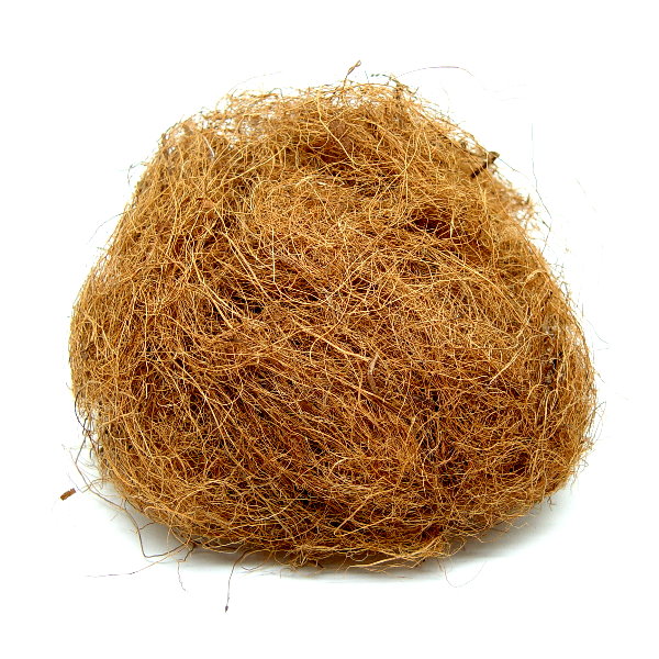 Pet Shop Direct - Coconut Fibre Nesting Material 100g
